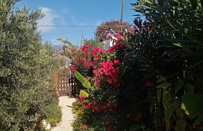 Riviera Bungalow Evleri Demre - Foto 65