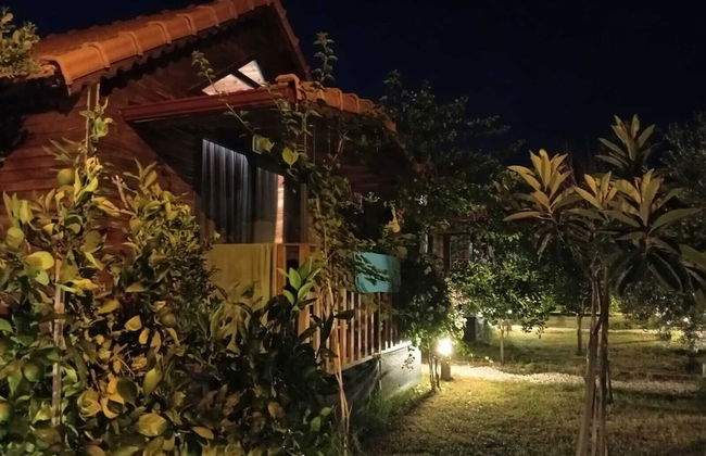Riviera Bungalow Evleri Demre - Foto 78
