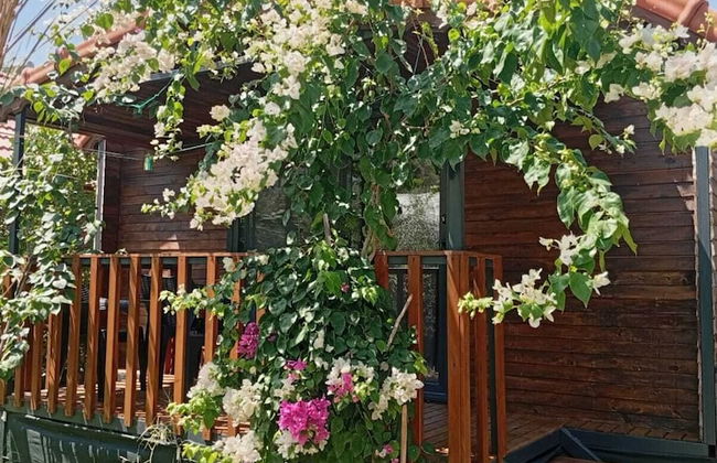 Riviera Bungalow Evleri Demre - Foto 43