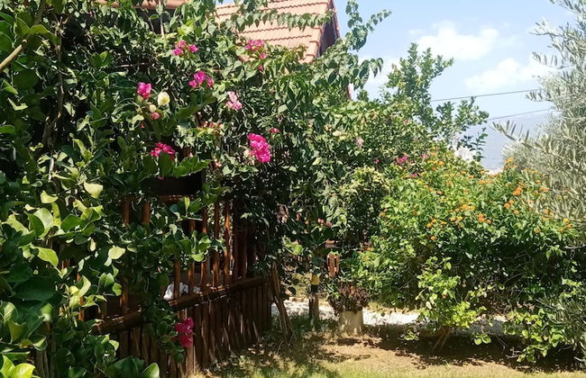 Riviera Bungalow Evleri Demre - Foto 46