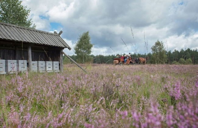 Heidetraum in der Pension Heidetraum - Foto 18
