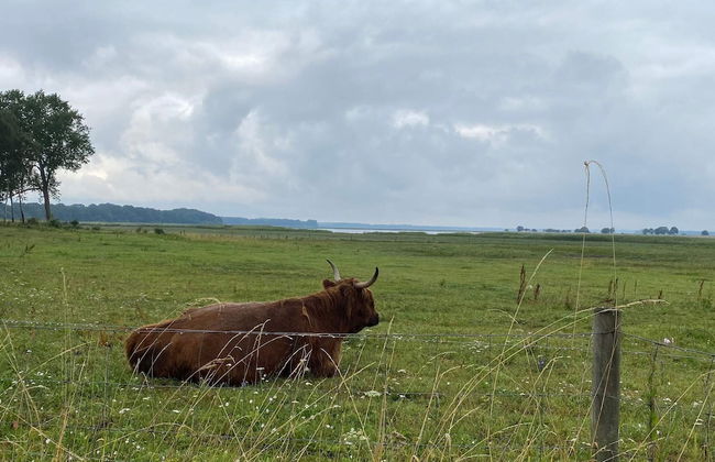 4 Star Holiday Home in Praesto - Foto 15