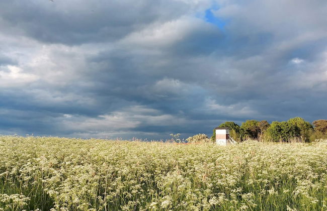 4 Star Holiday Home in Praesto - Foto 13