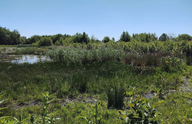 4 Star Holiday Home in Praesto - Foto 16