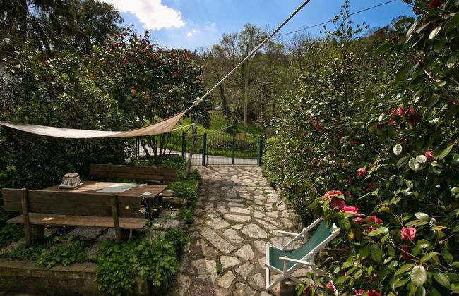 Holiday Home in Tuscany Near Sassetta - Foto 16