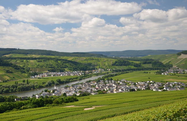 Riesling Apartment on the Moselle Terrace - Foto 5