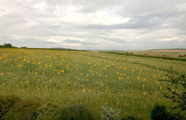 Am Turm Modern Retreat - Foto 18