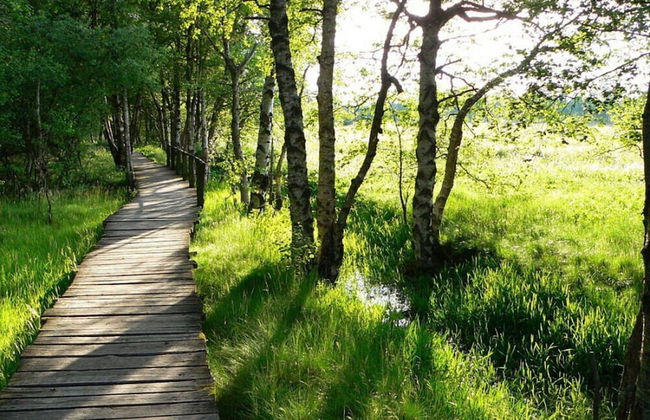 Am Turm Modern Retreat - Foto 26