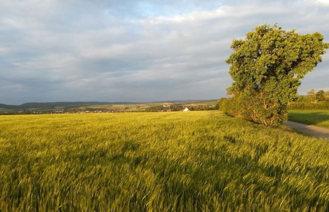 Am Turm Modern Retreat - Foto 14