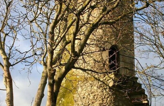 Am Turm Modern Retreat - Foto 20