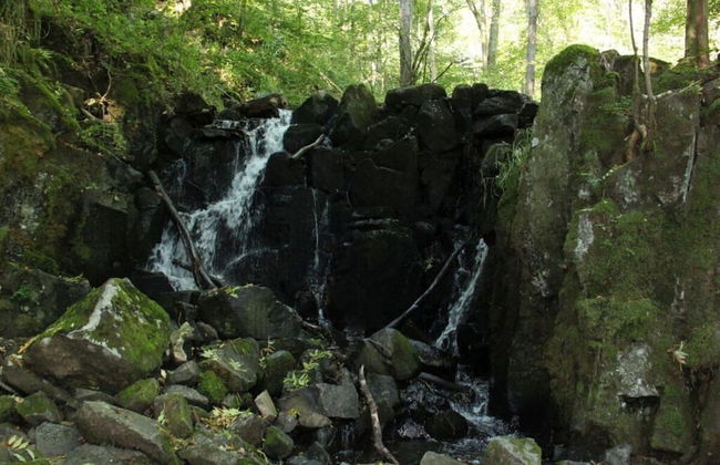 Am Turm Modern Retreat - Foto 16