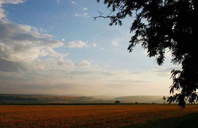 Am Turm Modern Retreat - Foto 15