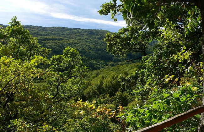 Am Turm Modern Retreat - Foto 17