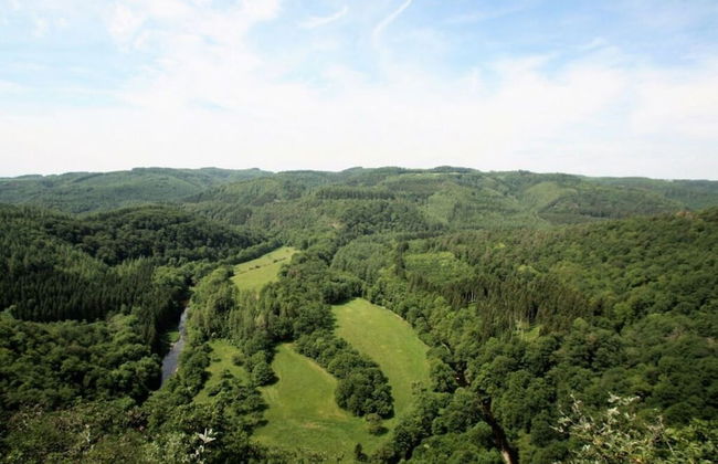 Eifel Farmhouse Comfortable Holiday Residence - Foto 13