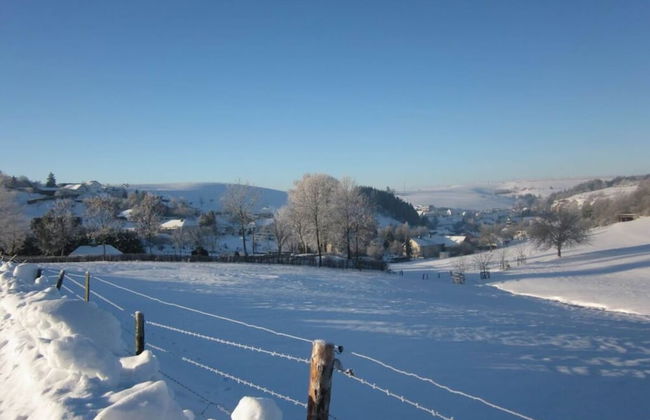 Eifel Farmhouse Comfortable Holiday Residence - Foto 17
