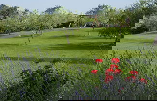 Foto 1 - Agriturismo Il Migliarino