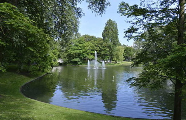 Charming Home w/ Garden - Foto 43