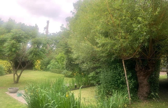 Charming Home w/ Garden - Foto 36