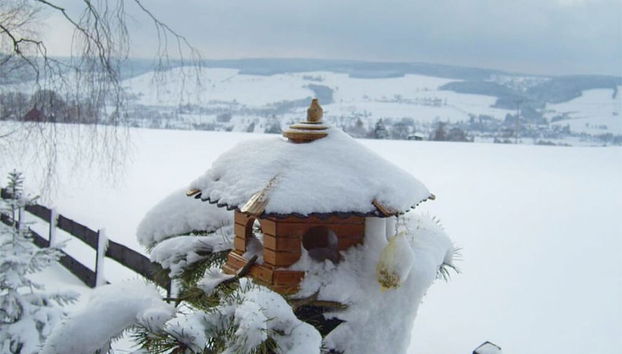 Desportos de neve e esqui