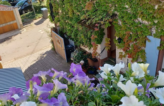 Weinberg-ferienwohnung, Oberrotweil - Foto 17