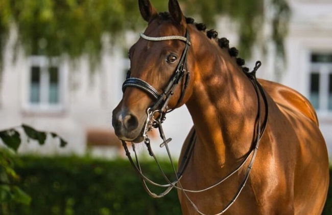 Fordebrise Modern Retreat - Foto 27