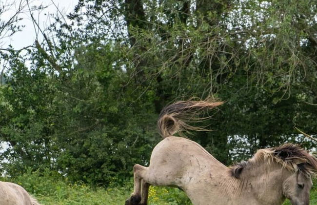 Fordebrise Modern Retreat - Foto 26