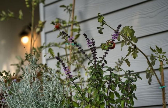 Fordebrise Modern Retreat - Foto 24