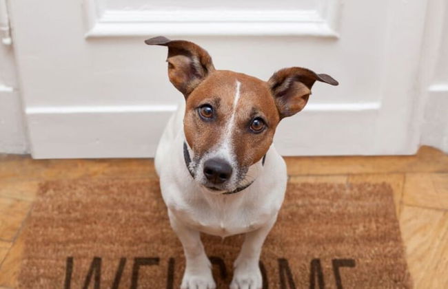 Fordebrise Modern Retreat - Foto 11