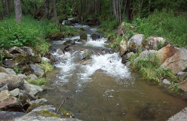 Holiday Home Sterl in Eppenschlag - Photo 9