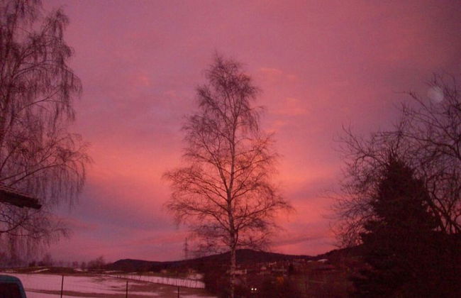 Holiday Home Sterl in Eppenschlag - Photo 11