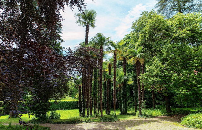 L'Orangerie di Villa Mayer - Foto 34