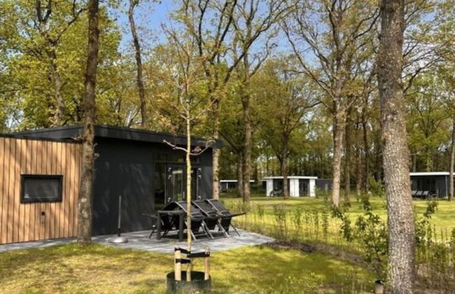Pavilion 6 People With Storage Space - Foto 6