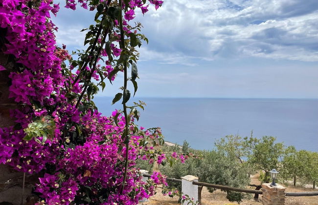 Villa Near Adra With Sea and Mountain Views - Photo 38