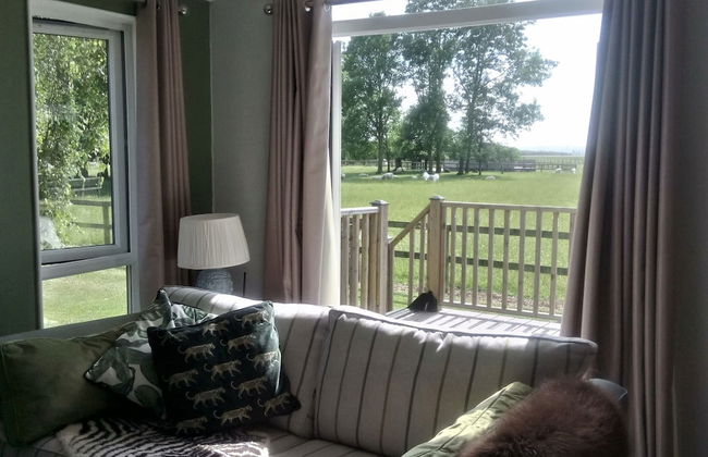 Cottage in Brookland Near Romney Marsh Beach - Foto 7
