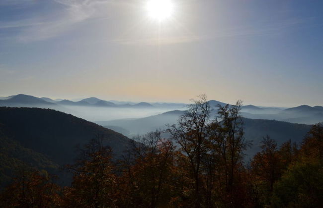 Palatinate Forest Comfortable Holiday Residence - Foto 17