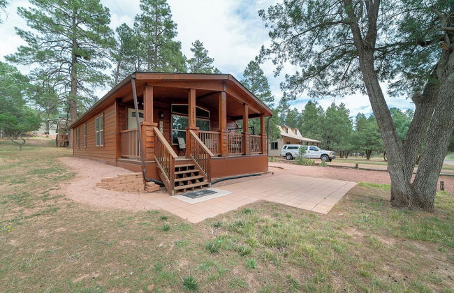 Old County Pine - Foto 1