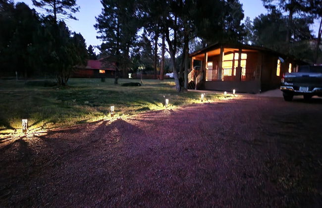Old County Pine - Foto 23