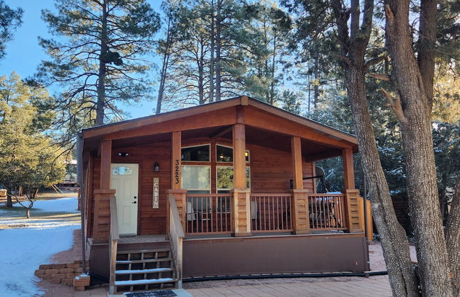Old County Pine - Foto 35