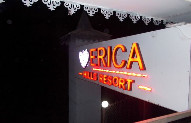Erica Hills Resort Kasauli - Foto 10