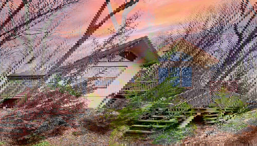 Primary image