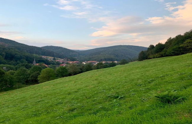 Cosy Holiday Home in the Harz Region - Foto 78