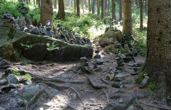 Harz-kurzurlaub in Lonau - Foto 34