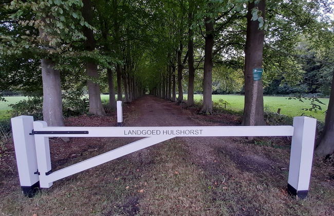 Bungalow met Omheinde Tuin op de Veluwe - Photo 30