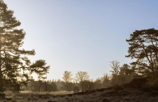 Bungalow met Omheinde Tuin op de Veluwe - Photo 35