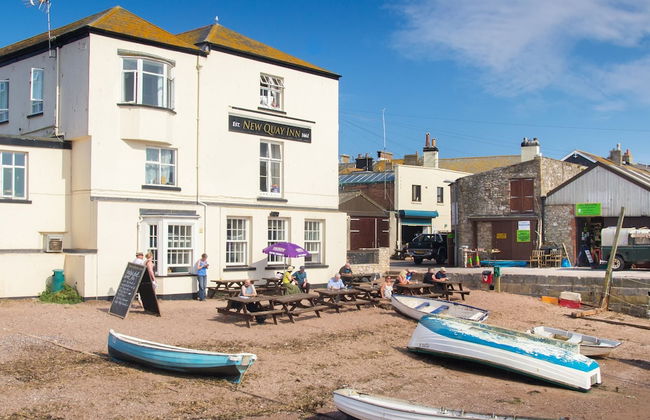 The Curlews in Bishopsteignton - Foto 57