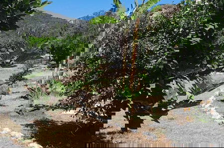 Foto 57 - Casa Terra is Near Hillside Area Airport Beach