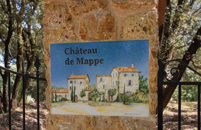 Chateau in Lorgues With Pool & Vineyard Views - Foto 26