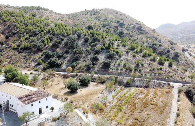 CASAS RURALES CORTIJO LEONTINO - Foto 48