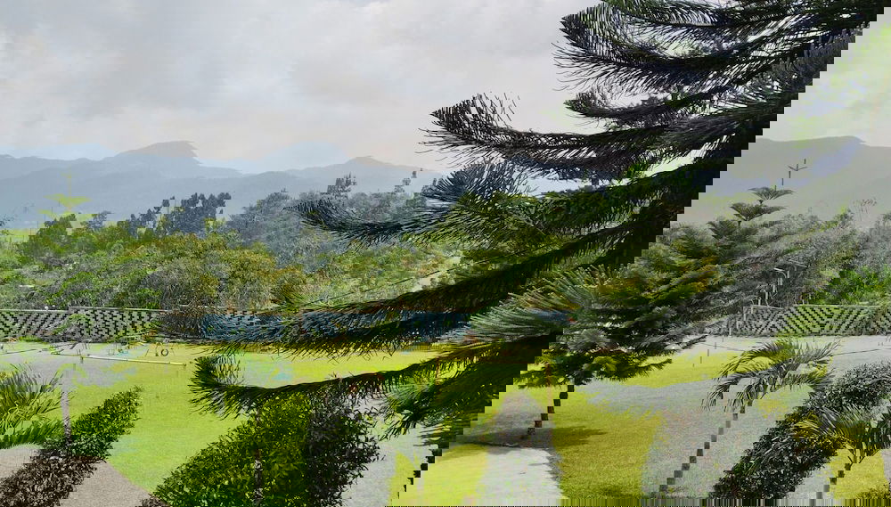 Image principale
