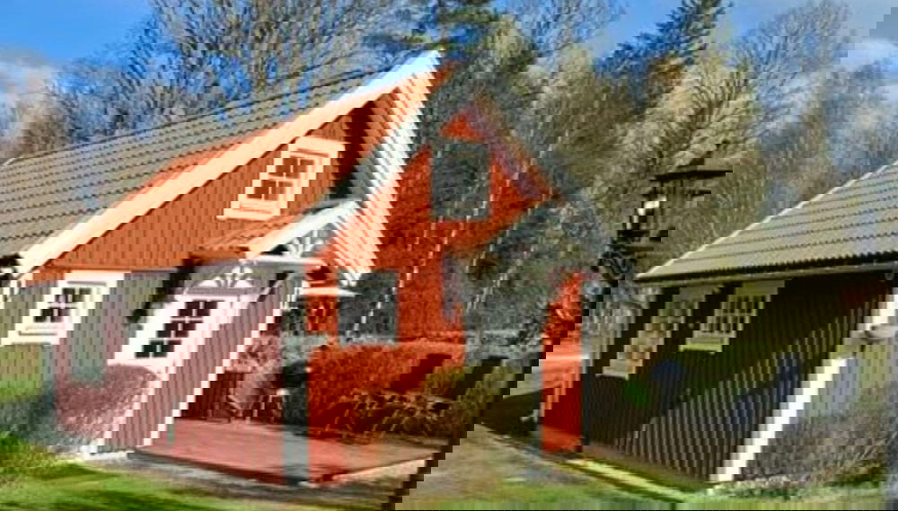 Primary image